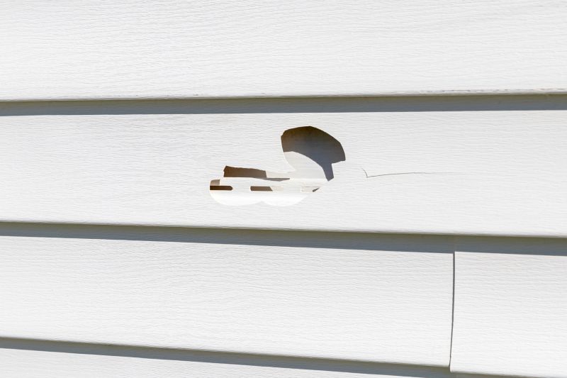 Vinyl Siding Repair Installation Image 2