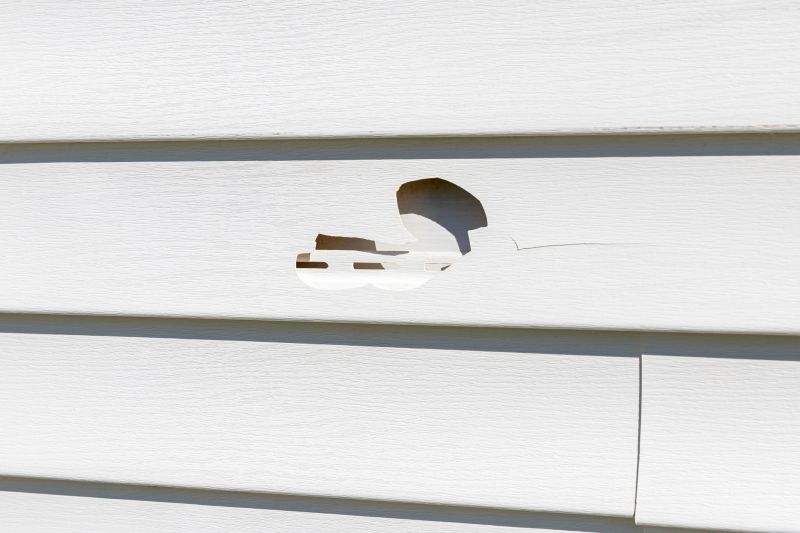 Vinyl Siding Repair Image 14
